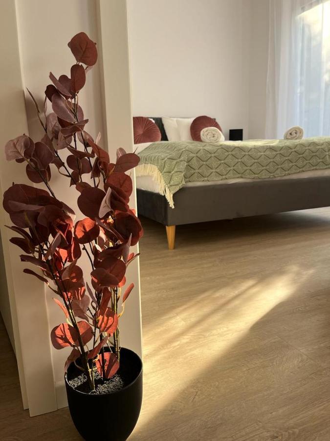 Mathias Premium Apartments Szegedin Exterior foto